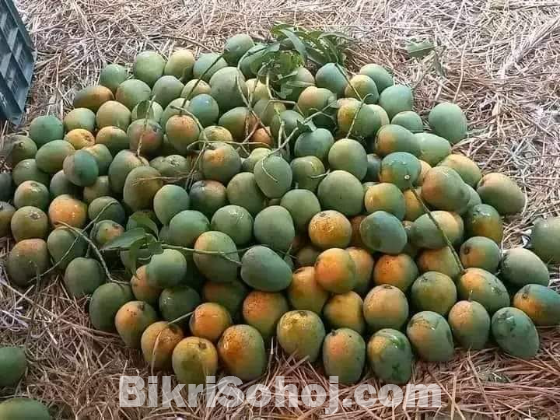 আমি রাজধানীর চাঁপাইনবাবগঞ্জের (ক্ষীরসাপাত) আম